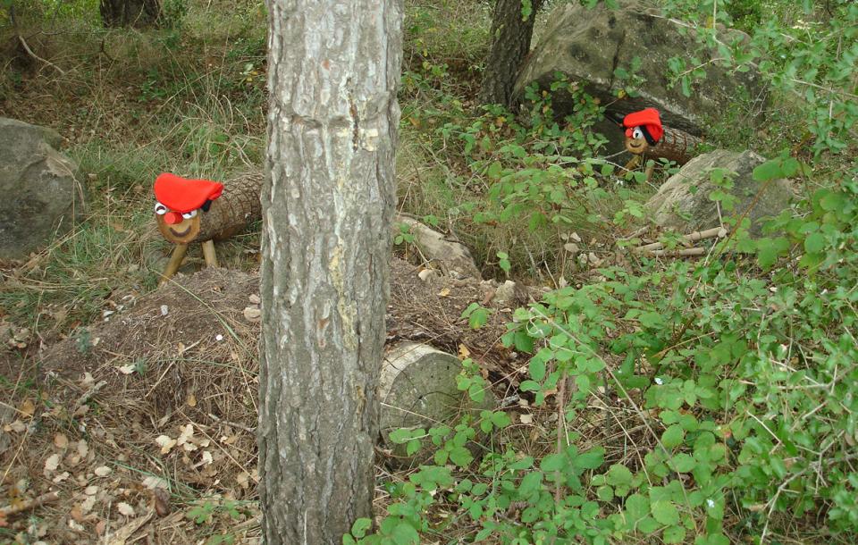 1 de Novembre de 2016 Dos tions al bosc  Clariana -  Casa del Tió