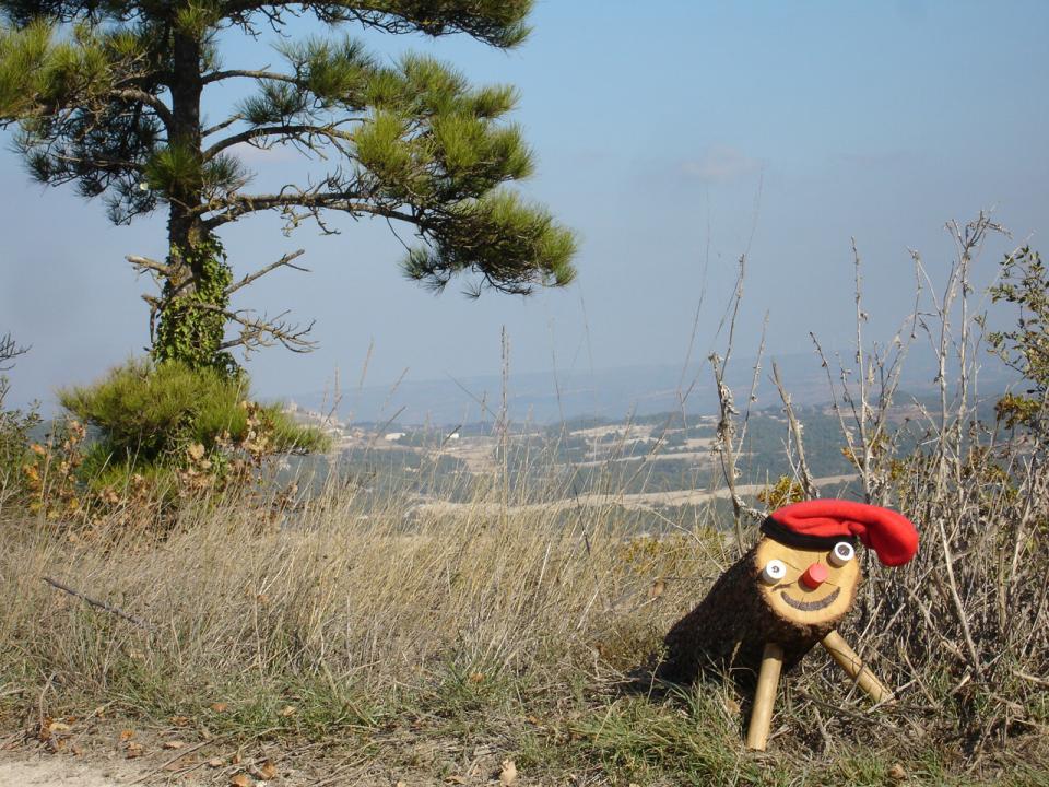 Passejant amb Argençola de fons