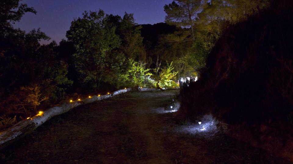 Concert de Quico Tretze al bosc de Clariana - Clariana