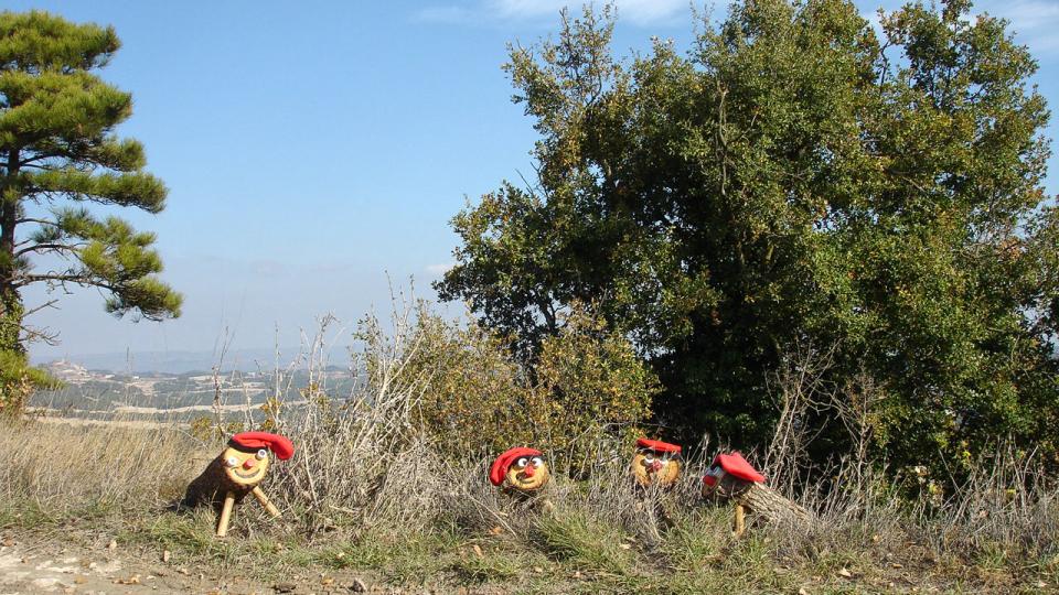 23.11.2015 Fent una excursió  Clariana -  Martí Garrancho