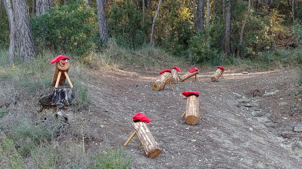 25 de Novembre de 2017   Clariana -  Martí Garrancho