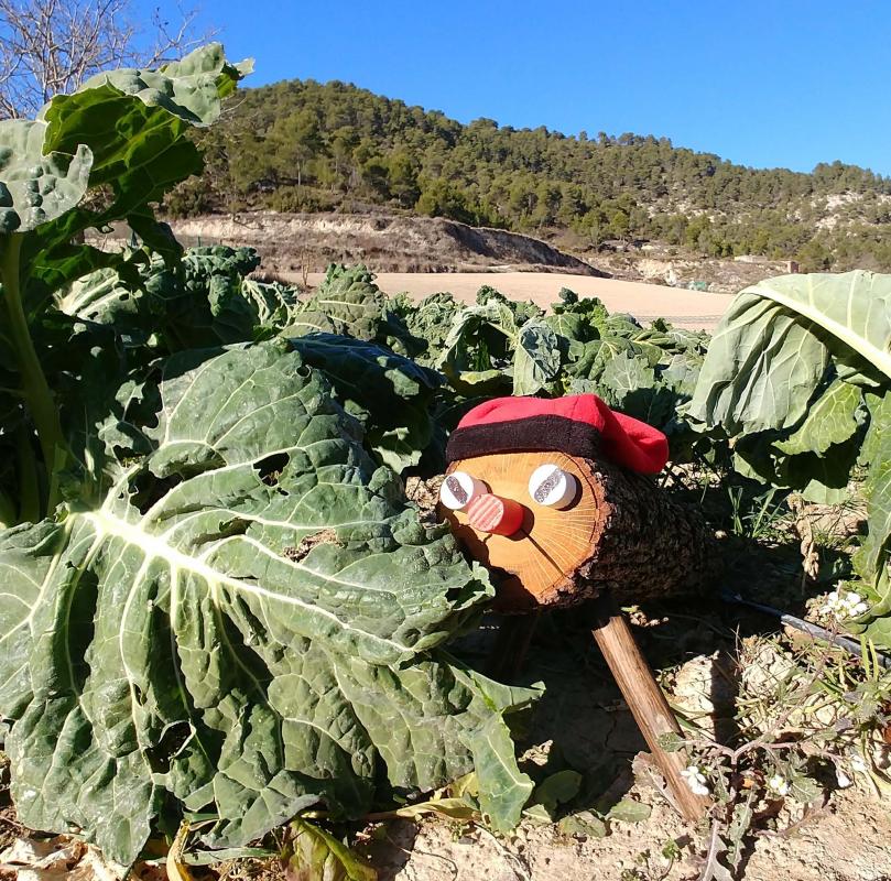 7 de Desembre de 2017   Clariana -  Martí Garrancho