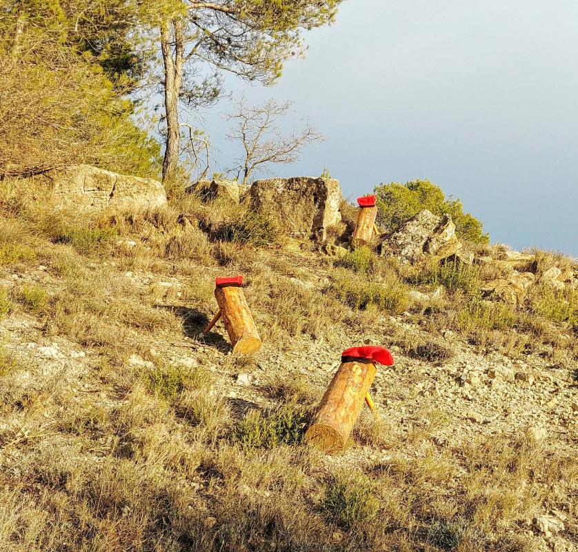 7 de Desembre de 2017   Clariana -  Martí Garrancho