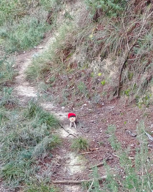 18.11.2018 Tió passejant  Clariana -  Martí Garrancho