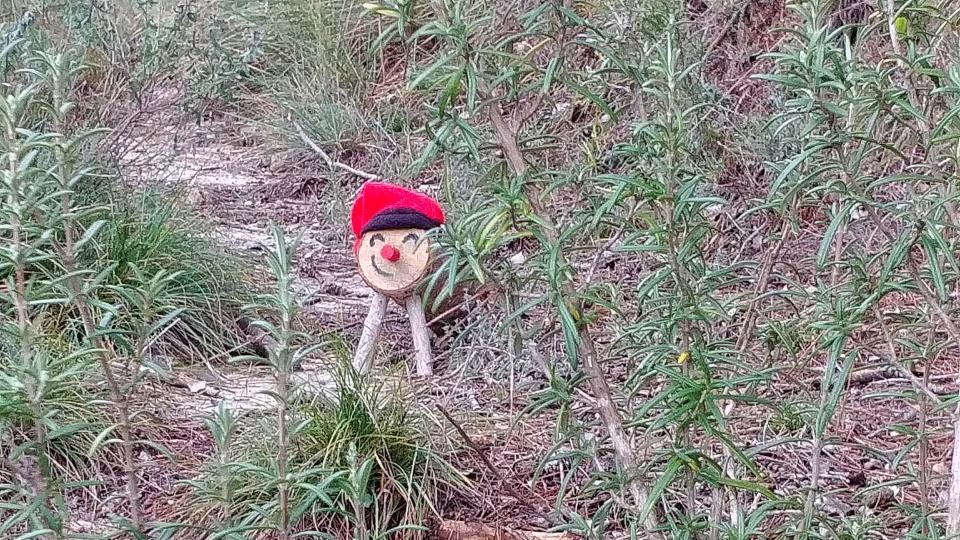 18 de Novembre de 2018 Tió passejant  Clariana -  Martí Garrancho