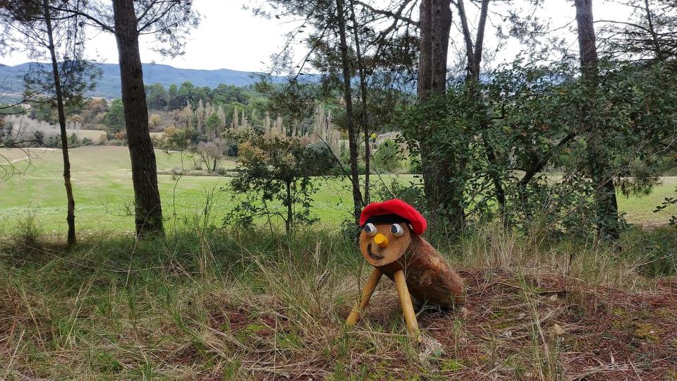 18.11.2018 Pels boscos i camps  Clariana -  Martí Garrancho