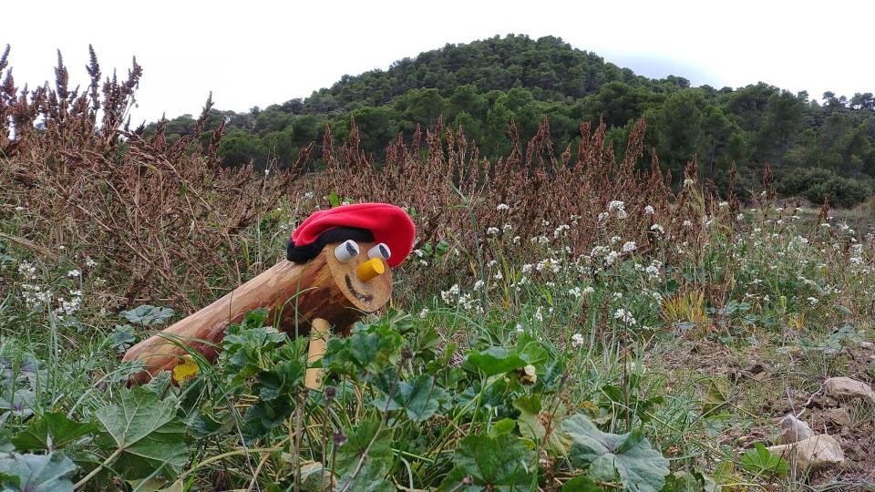 Aquest any torna la Festa del Tió