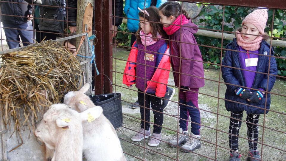 8 de Desembre de 2018 Mercat del Tió  Clariana -  Bàrbara Balcells