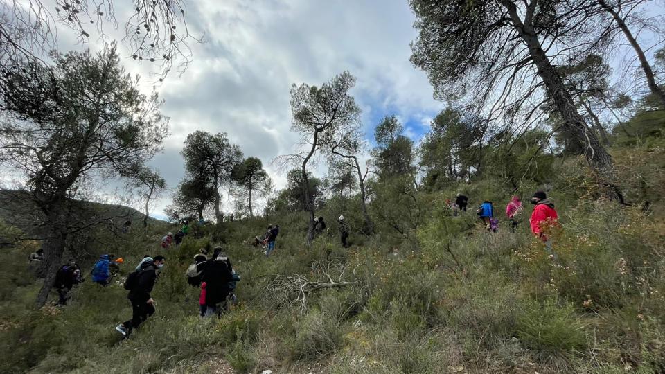 10a Festa del Tió d'Argençola